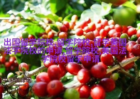 卢克索皇家谷中的卡夫拉王朝三座小型黄铜像